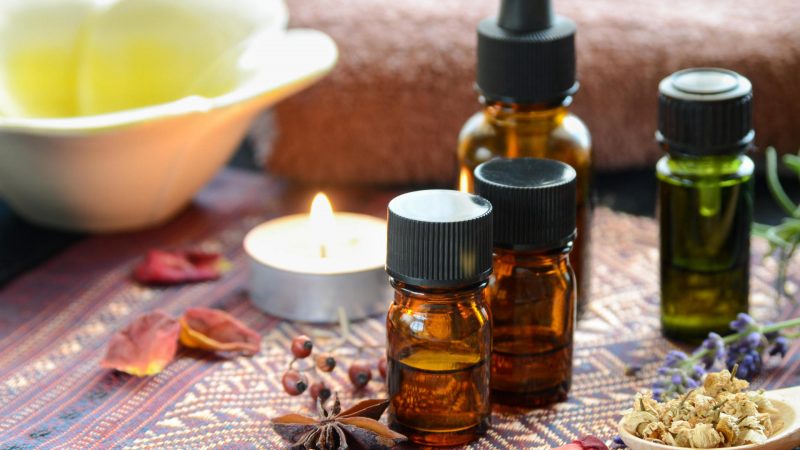 C0906621-D693-2D18-D528BC41BAEC9223